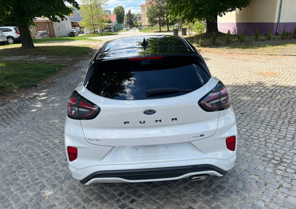 Ford Puma cena 79999 przebieg: 13300, rok produkcji 2020 z Nysa małe 436